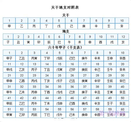 1986 天干地支|干支对照表